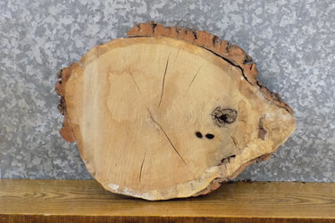 Round Cut Salvaged Live Edge White Oak DIY Charcuterie Board 7391
